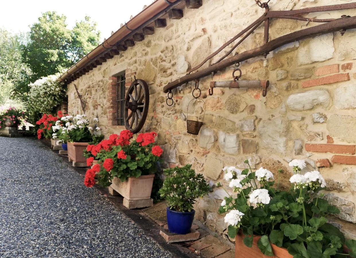 利帕贝拉Agriturismo Terenzana公寓式酒店 外观 照片