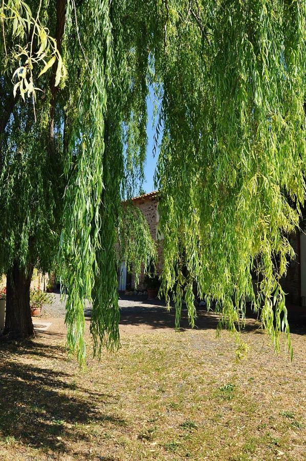 利帕贝拉Agriturismo Terenzana公寓式酒店 外观 照片